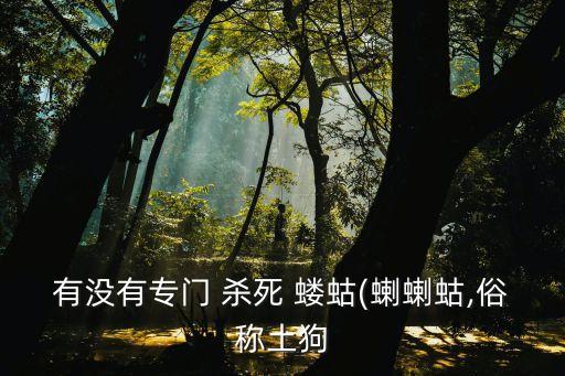 什么農(nóng)藥殺死螻蛄最快,螻蛄用什么農(nóng)藥