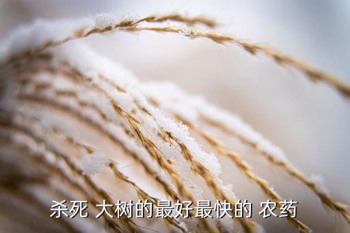 什么農(nóng)藥能讓大樹死掉呢,有沒有什么農(nóng)藥能把大樹打死