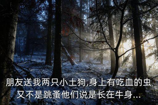 什么農藥可防土狗蟲子吃