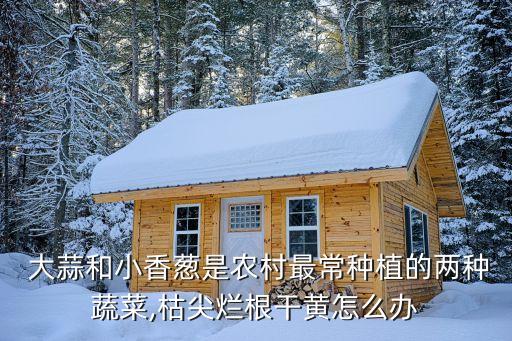大蒜干尖用什么農(nóng)藥治療,現(xiàn)在大蒜打什么農(nóng)藥好
