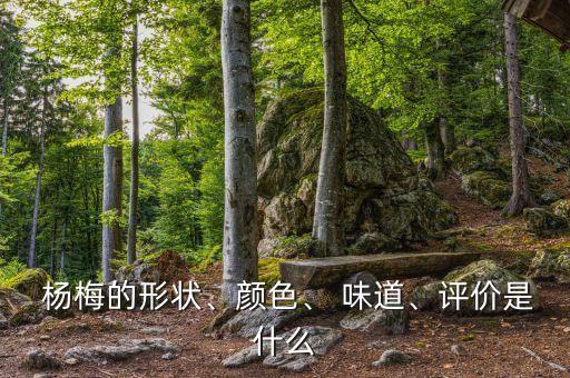 打了農藥的楊梅什么味道,楊梅好吃嗎什么味道