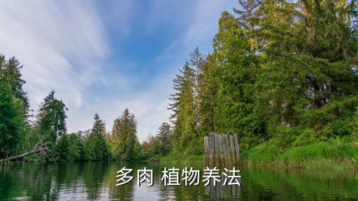 多肉 植物養法