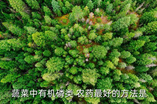 水果蔬菜打什么農(nóng)藥最好,酵素泡水果蔬菜祛除農(nóng)藥