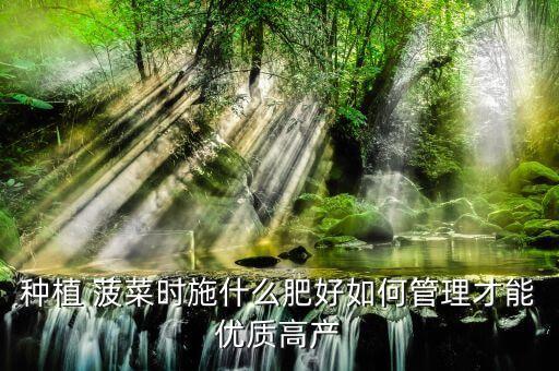 種菠菜用什么農藥好用呢,菠菜對什么農藥過敏