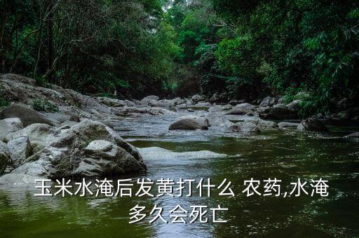  玉米水淹后發(fā)黃打什么 農(nóng)藥,水淹多久會死亡