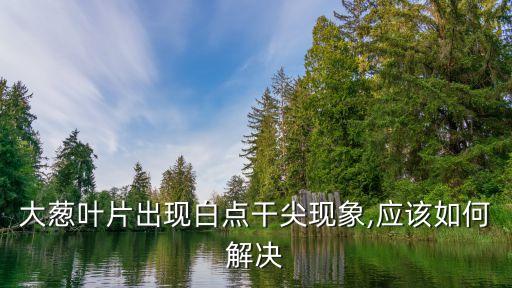 蔥上長白斑用什么農藥
