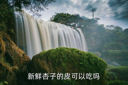 新鮮杏子的皮可以吃嗎