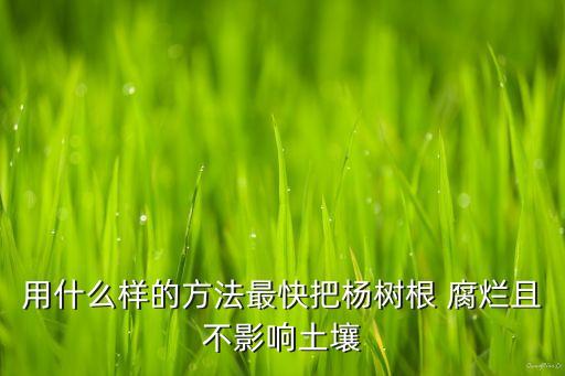 什么農(nóng)藥能讓根腐爛,葛騰用什么農(nóng)藥根除去