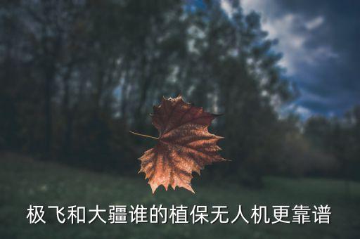 極飛和大疆誰(shuí)的植保無(wú)人機(jī)更靠譜