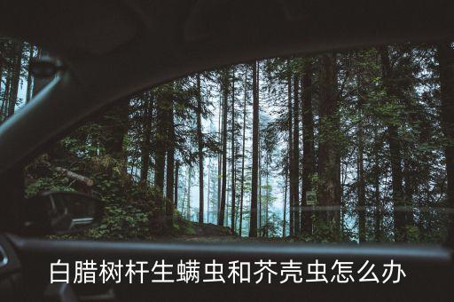 白蠟樹對什么農藥敏感