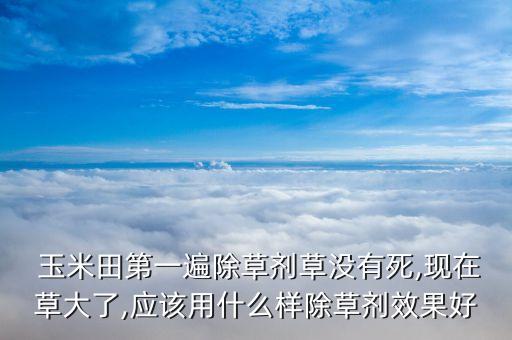  玉米田第一遍除草劑草沒有死,現(xiàn)在草大了,應(yīng)該用什么樣除草劑效果好