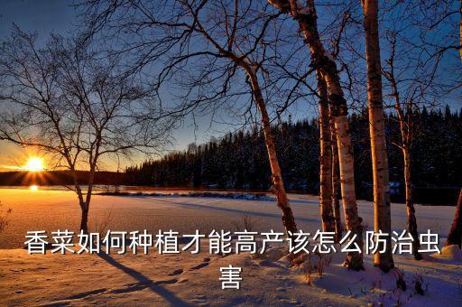 什么農(nóng)藥是香菜氣味的,種植香菜用什么農(nóng)藥