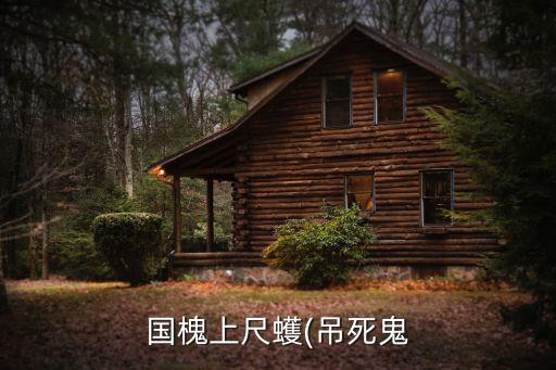 槐樹有蟲打什么農藥,槐樹打什么生肖