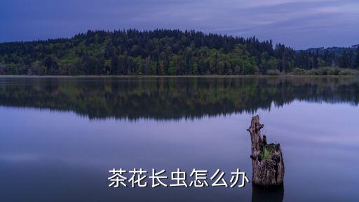 綠福是什么農(nóng)藥,大光明綠福農(nóng)藥