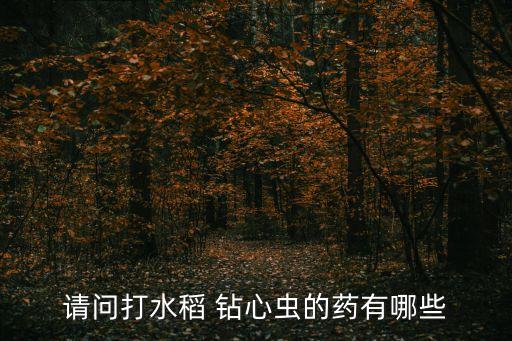 荔枝鉆心蟲用什么農藥