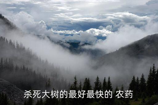 什么農藥能把小樹除掉呢,螞蟻用什么農藥可以除掉它