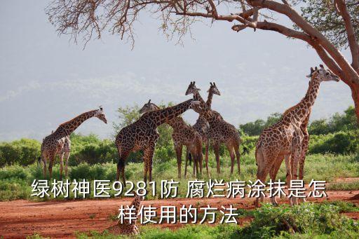 綠樹神醫9281防 腐爛病涂抹是怎樣使用的方法