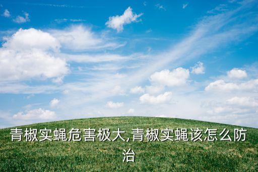 青椒實蠅危害極大,青椒實蠅該怎么防治