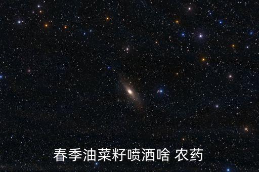 春季油菜籽噴灑啥 農(nóng)藥