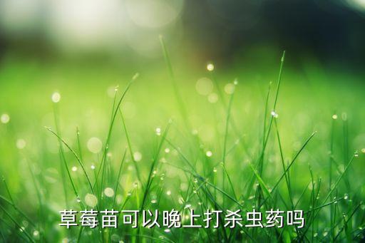 草莓苗可以晚上打殺蟲藥嗎