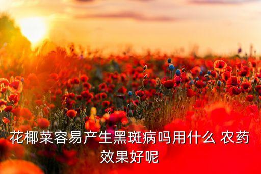花椰菜容易產生黑斑病嗎用什么 農藥效果好呢