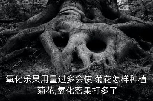 菊花防霜用什么農藥,菊花要打什么農藥
