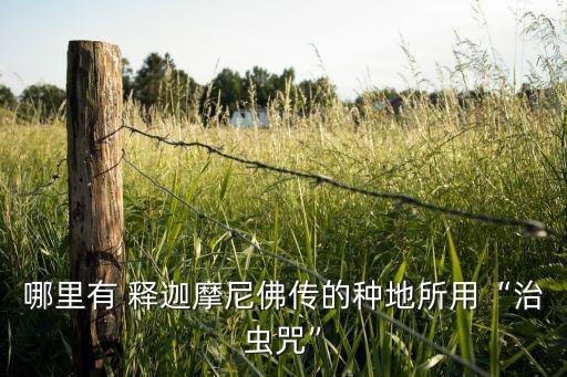 哪里有 釋迦摩尼佛傳的種地所用“治蟲咒”