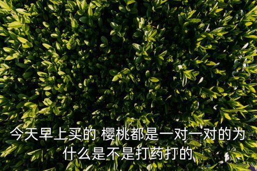 櫻桃雙胞胎用什么農藥,櫻桃現在打什么農藥