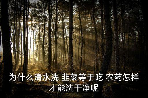 為什么清水洗 韭菜等于吃 農(nóng)藥怎樣才能洗干凈呢