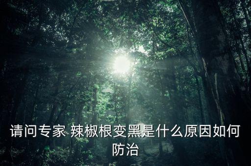 辣椒黑莖用什么農藥,辣椒用什么農藥比較好