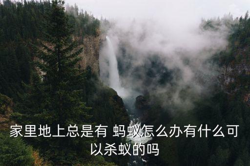 什么農藥殺死螞蟻最快呢,敵敵畏農藥可以殺死螞蟻嗎