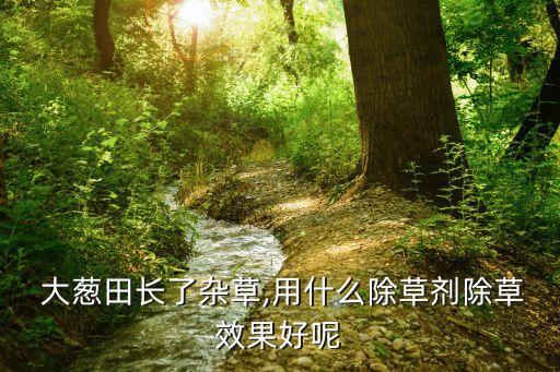 大蔥種什么農藥好使些呢,大蔥打什么農藥綠油油