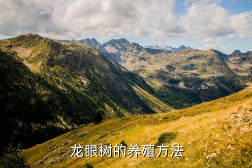 龍眼苗噴什么農藥,龍眼開花能噴農藥嗎