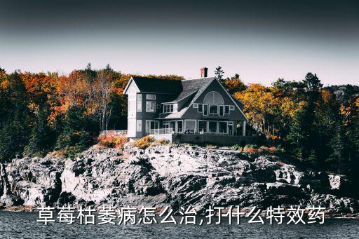 草莓生病打什么農藥最好,草莓用什么泡去農藥
