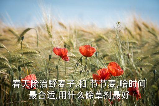 節節麥用什么農藥最好,打節節麥什么時間打最好