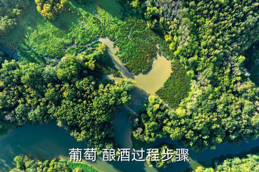 釀酒加什么農(nóng)藥,釀酒要放農(nóng)藥嗎