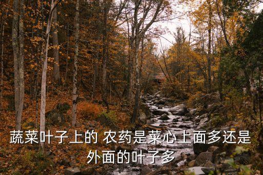 什么食物農藥最多,什么蔬菜農藥打的最多