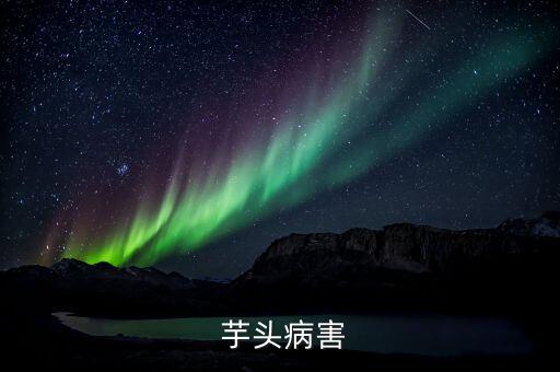  芋頭病害