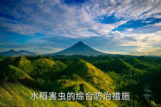 水稻害蟲的綜合防治措施