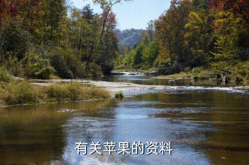 有關(guān)蘋果的資料