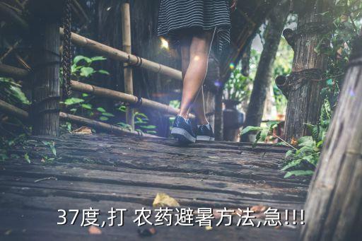 大風大雨用什么農藥