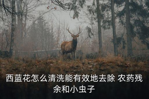 西藍花怎么清洗能有效地去除 農(nóng)藥殘余和小蟲子