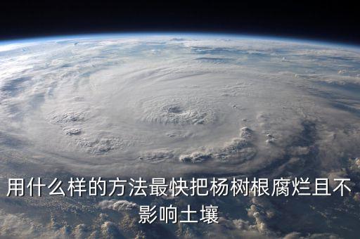 用什么樣的方法最快把楊樹根腐爛且不影響土壤