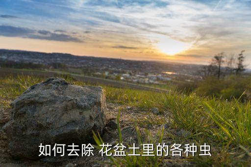 除花盆內蚯蚓用什么農藥,什么可以殺死花盆里的蚯蚓