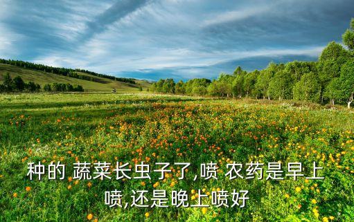 蔬菜什么時期打農藥最好,洗蔬菜用什么洗去農藥