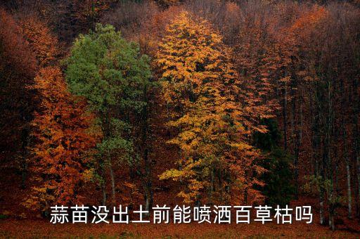  蒜苗沒出土前能噴灑百草枯嗎