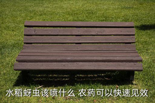 噴農(nóng)藥用什么藥最好,打農(nóng)藥蟲藥什么時(shí)間打最好