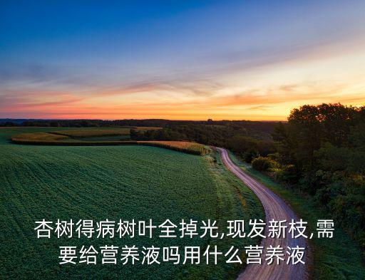 杏樹使用什么農藥,杏樹打什么農藥最好呢