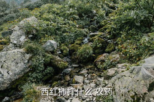 番茄用什么農藥治蝸牛最好,如何治蝸牛用什么農藥