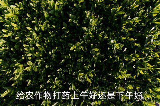 噴灑農藥什么時候最合適,菜地蟲子農藥什么時候噴灑好
